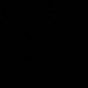 Meet your Posher, Jamia